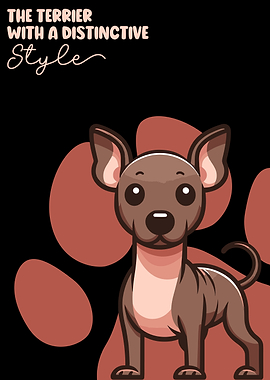 American Hairless Terrier