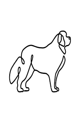 One Line Saint Bernard Dog Illustration