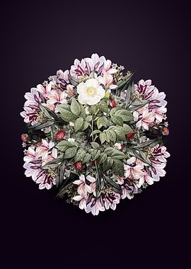 Leschenault's Rose Wreath Floral Mandala