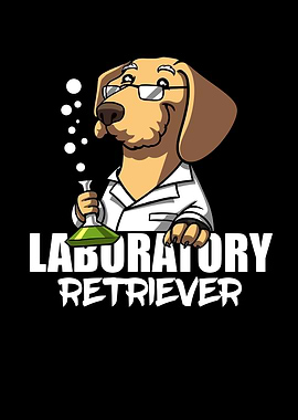 Laboratory Retriever Dog