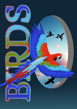 The flight of the macaw