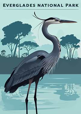 Everglades National Park Heron