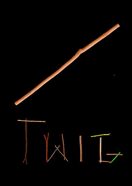 Twig Art - TWIG