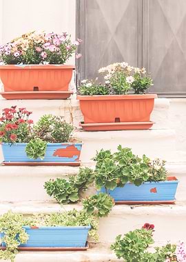 Puglia, Italy I Colorful flower staircase in a pastel summer aesthetic italian countryside village with a minimalist geometric retro vintage photography composition for living dolce vita in Tuscany
