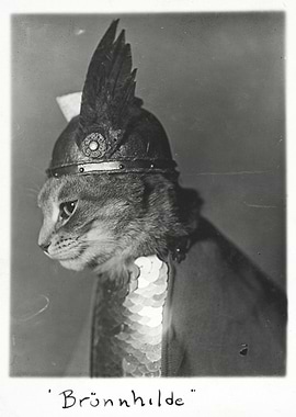 Vintage Viking Cat