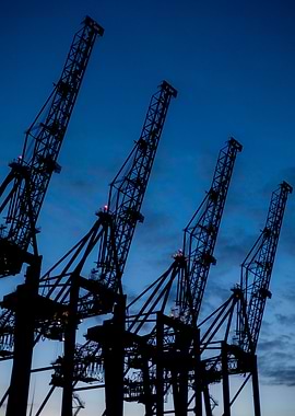 Silhouetted Cranes at Dusk