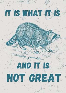 It Is What It Is Raccoon