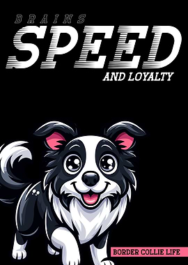 Border Collie Speed & Loyalty