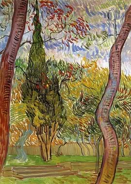 Cypress Trees in Garden