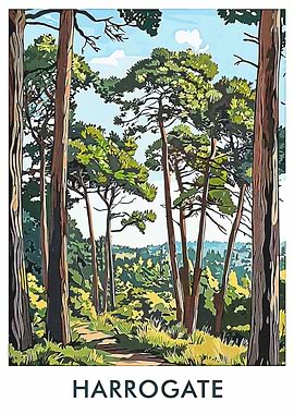 Harrogate Forest Path