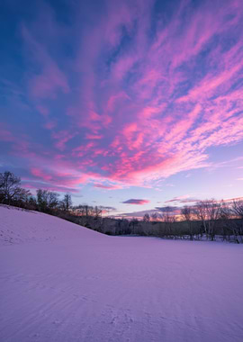 Pink Sunset Over Snowy Field