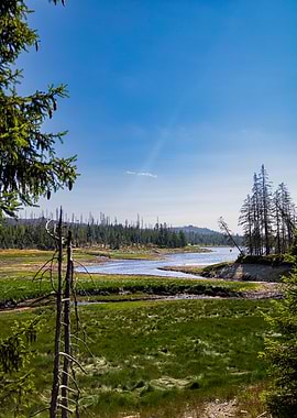 Serene Lake in Harz national park Forest