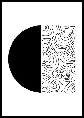 Abstract Black and White Art