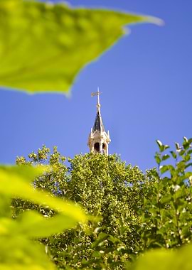 Church Spire Through Foliage