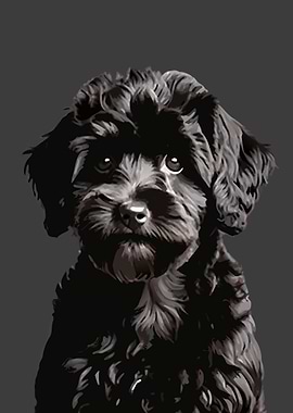 Black Dog Portrait