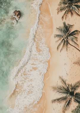 Tropical Beach Aerial