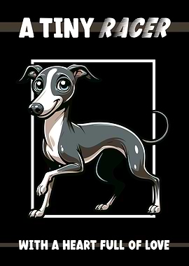 Italian Greyhound Dog
