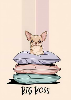 Boss Chihuahua