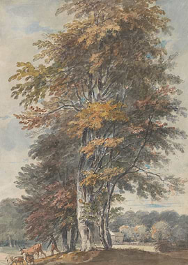 Watercolor Landscape with Trees