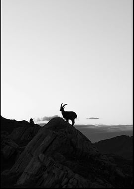 Mountain Goat Silhouette
