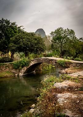 Stone Bridge in Lush Landscape