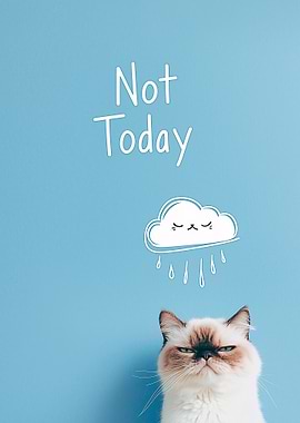 Grumpy Cat Not Today