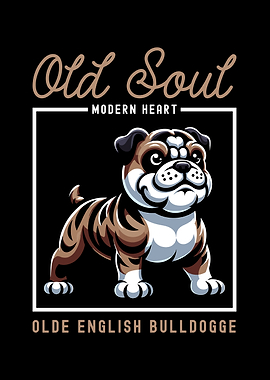 Old Soul Olde English Bulldog