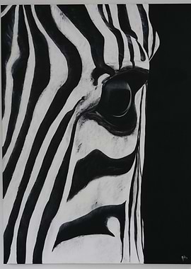 Zebra Eye Close-Up