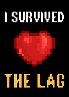 I Survived The Lag Gamer