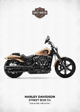 Harley Davidson Street Bob 114