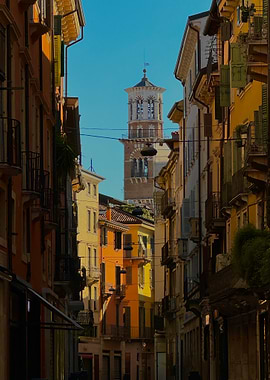 Narrow Street with Tower