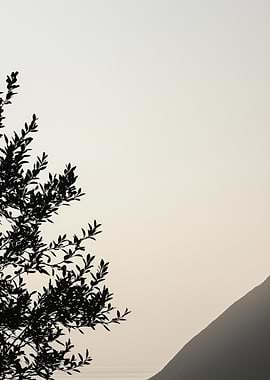 Silhouette of a Tree