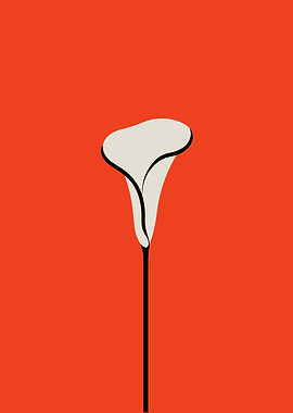 Minimalist White Calla Lily on Red