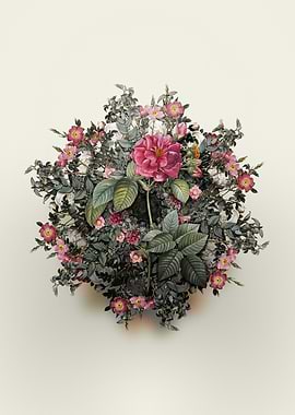 Floral Arrangement with Pink Francfort Roses