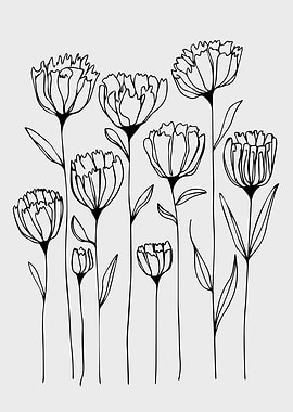 Delicate Wildflower Line Art Illustration