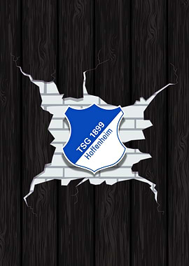 Hoffenheim Logo