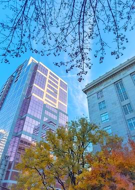 Cityscape with Fall Foliage