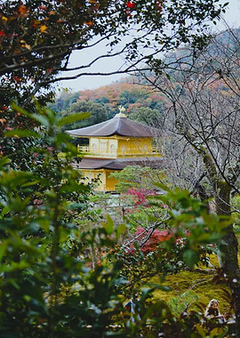 Golden Pavilion in Autumn