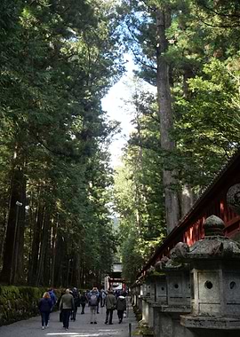 Japanese Shrine Pathway