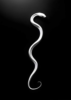 Animal White Rat silhouette on a black Art