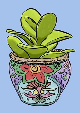 Succulent in Pot
