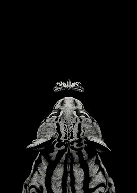 Ocelot and Butterfly