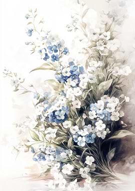 Flower Blue White Forget Me Not
