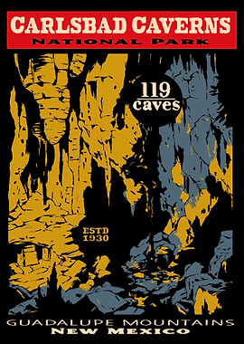 Carlsbad Caverns National Park Poster