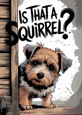 Peeking Border Terrier