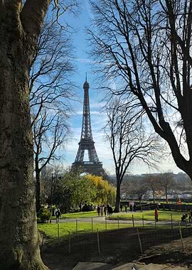 Eiffel Tower View