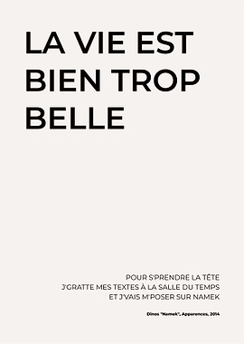 Life is Too Beautiful Quote