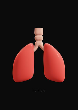 3D Lungs Illustration
