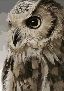 Close-Up Owl Portrait