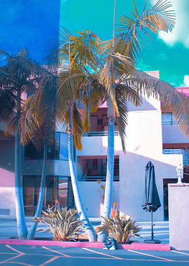 Palm Trees & Pastel Motel